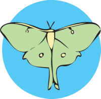 An image of a simple luna moth on a circular blue background