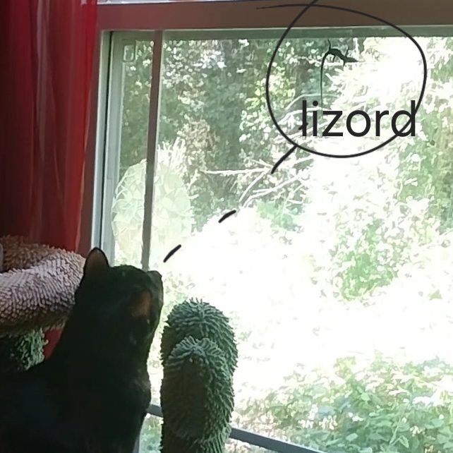 A tortoiseshell cat stares out the window at a lizard who is on the outside of the window, hangin' out.. A dotted line has been drawn from her eyes to circle the lizard, which has been labled 'Lizord".